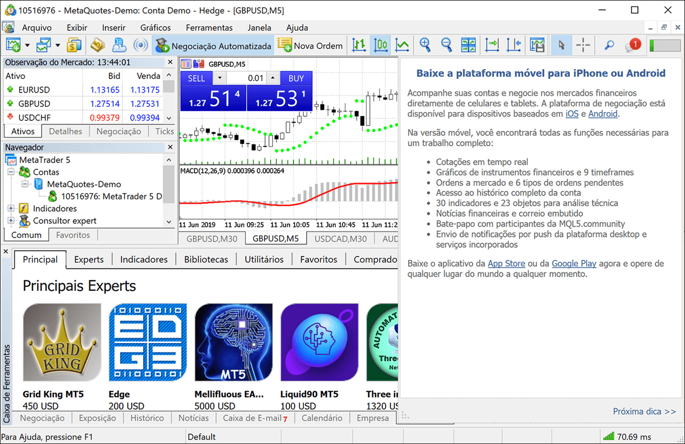 https://www.metatrader5.com/c/17/0/4_interactive_help_pt.png