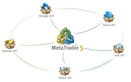 MetaTrader 5 API
