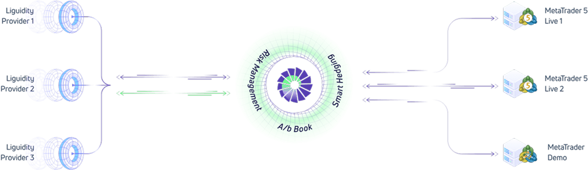 Ultency Protection and risk managemen