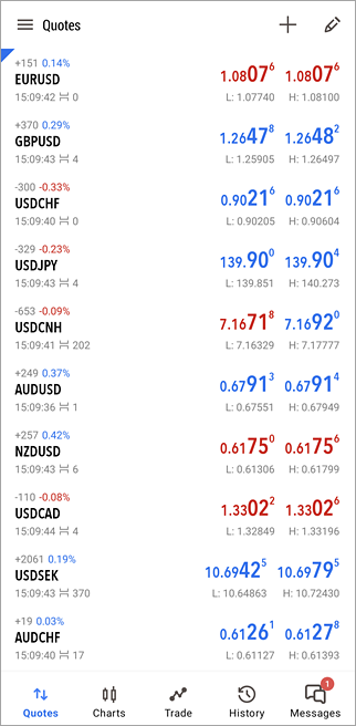 MetaTrader 5 Ansicht