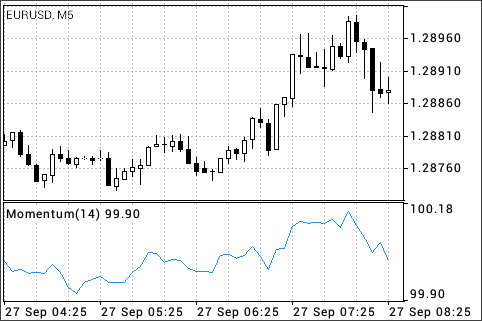 动量 (Momentum)