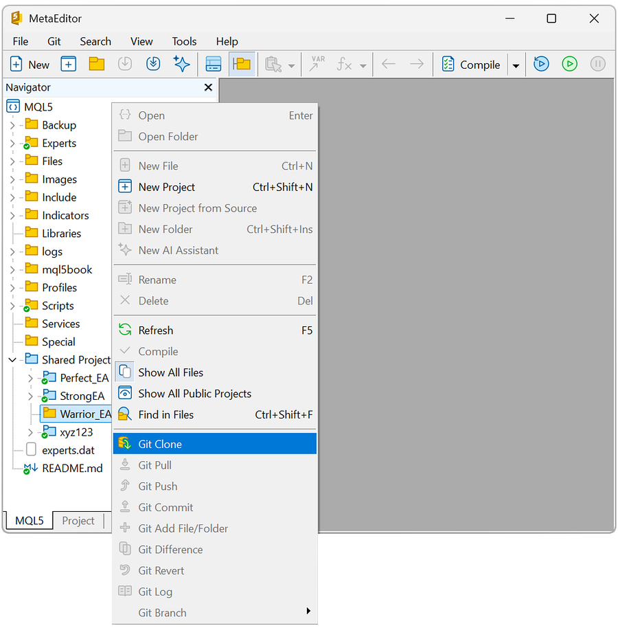 Cloning a project