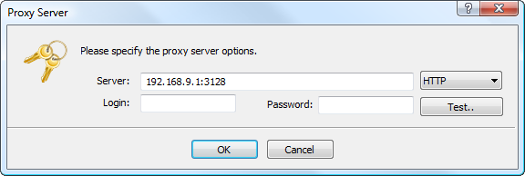 Indique as configurações do servidor proxy, se ele for usado para se conetar à internet