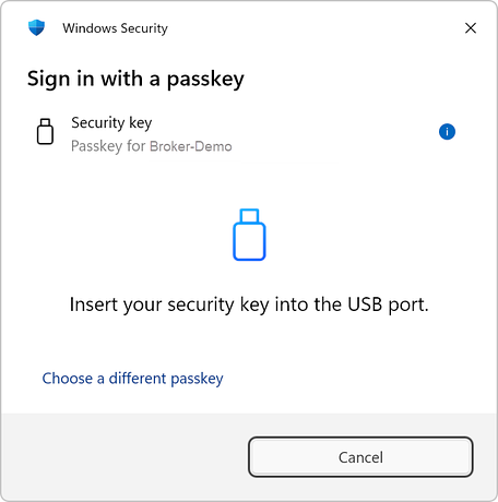 Authenticating with a passkey on a USB Authenticating with a passkey on a USB